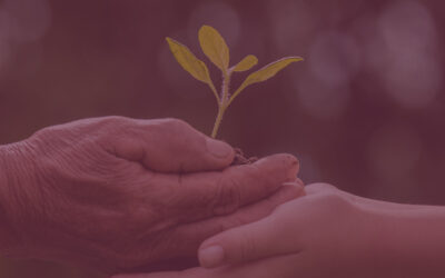 Kiinteistön antaminen ennakkoperintönä: Verotukselliset näkökulmat